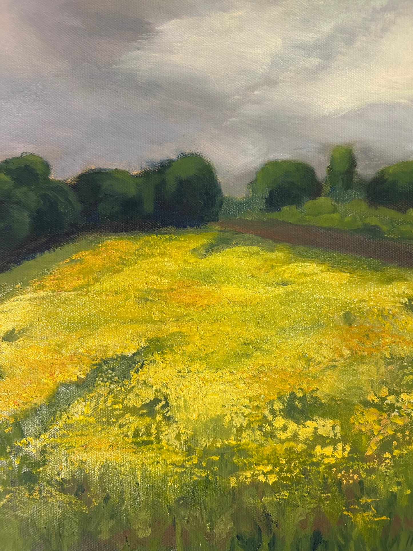 Flower Field